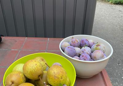 Img 20260814 Wa0015