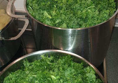 Vom Garten in die Küche: Unsere Garten-AG erntet Grünkohl!  Selbst gepflanzt, gemeinsam gekocht, zusammen gegessen